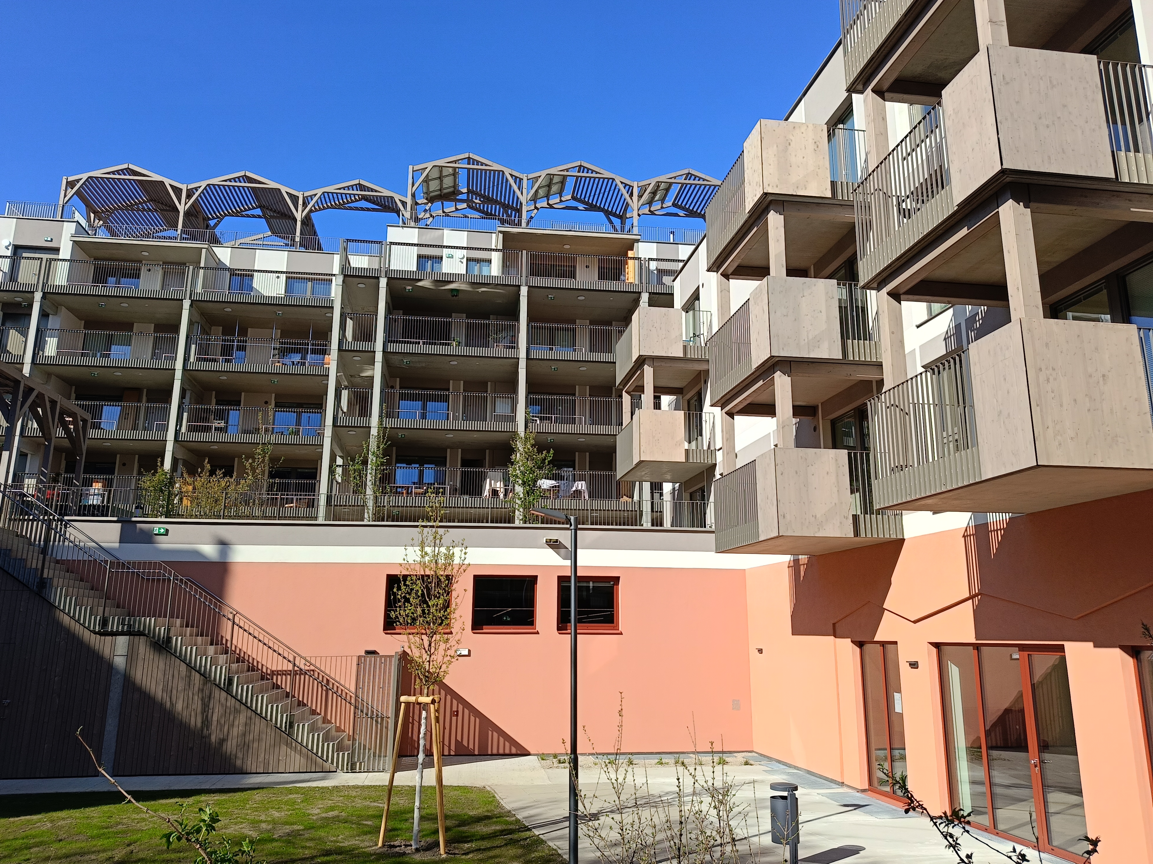 Hofseitige Ansicht der "Roten Emma" mit Blick auf Loggias, Balkone und Pergola am Dachgarten. Sichtbar ist auch der Treppenaufgang zum Gemeinschaftsgarten im ersten Stock.